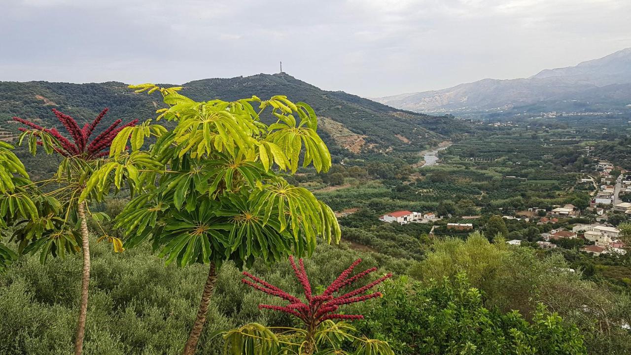 Patellari Villa Orgoni מראה חיצוני תמונה